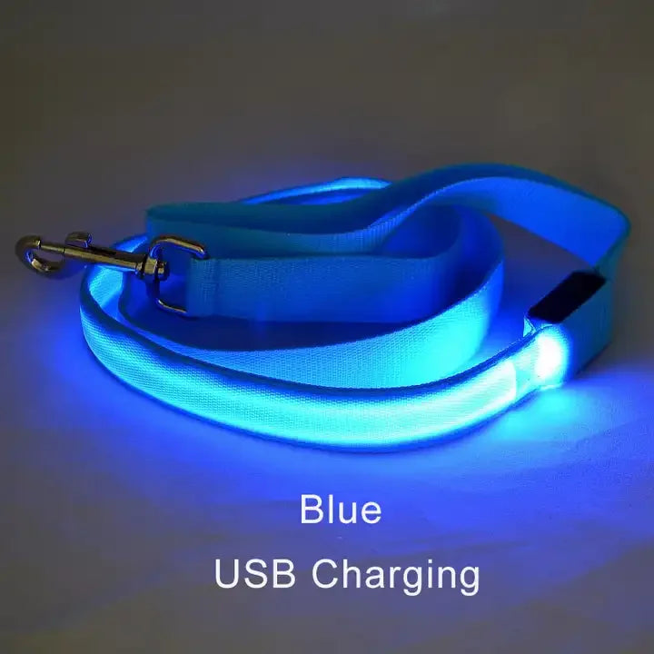 Light Up Safety Dog Leash