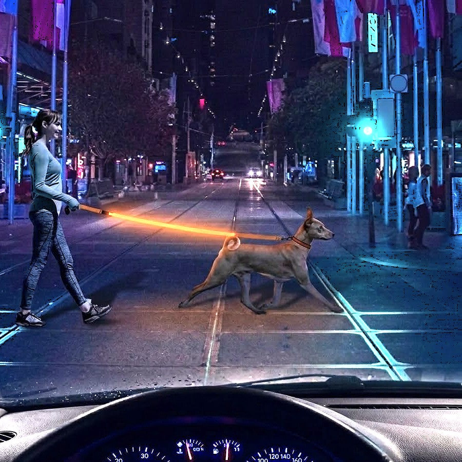 Light Up Safety Dog Leash