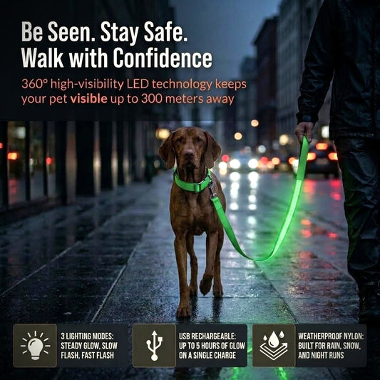 Light Up Safety Dog Leash