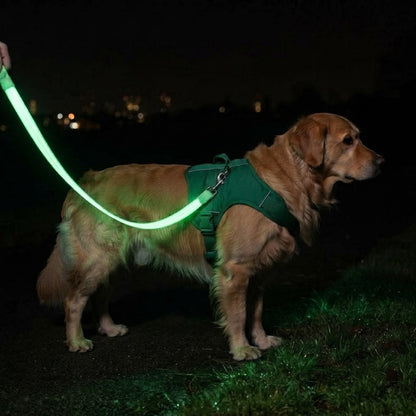 Light Up Safety Dog Leash