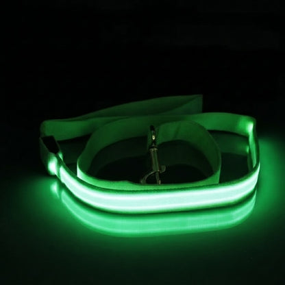 Light Up Safety Dog Leash