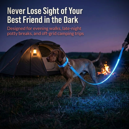 Light Up Safety Dog Leash