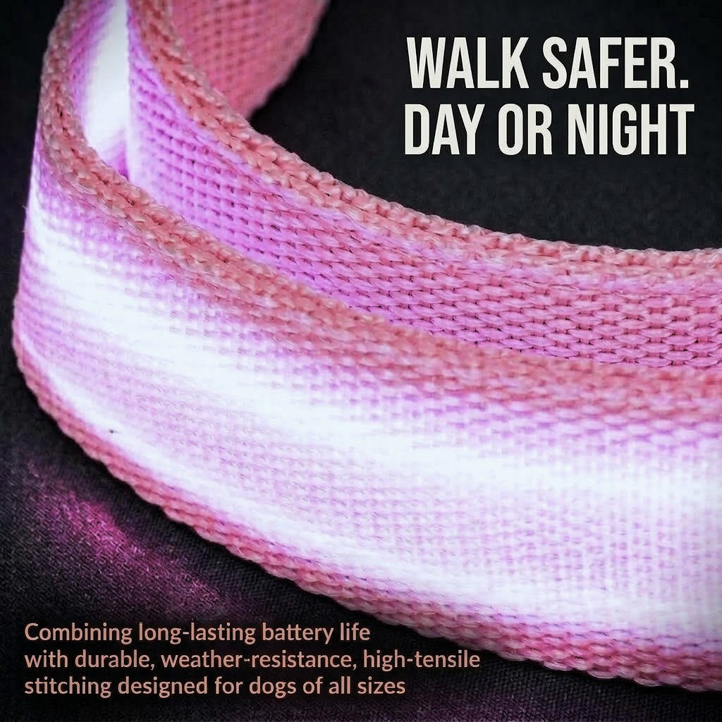 Light Up Safety Dog Leash
