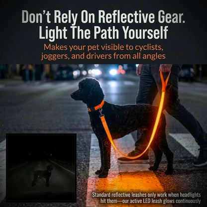 Light Up Safety Dog Leash