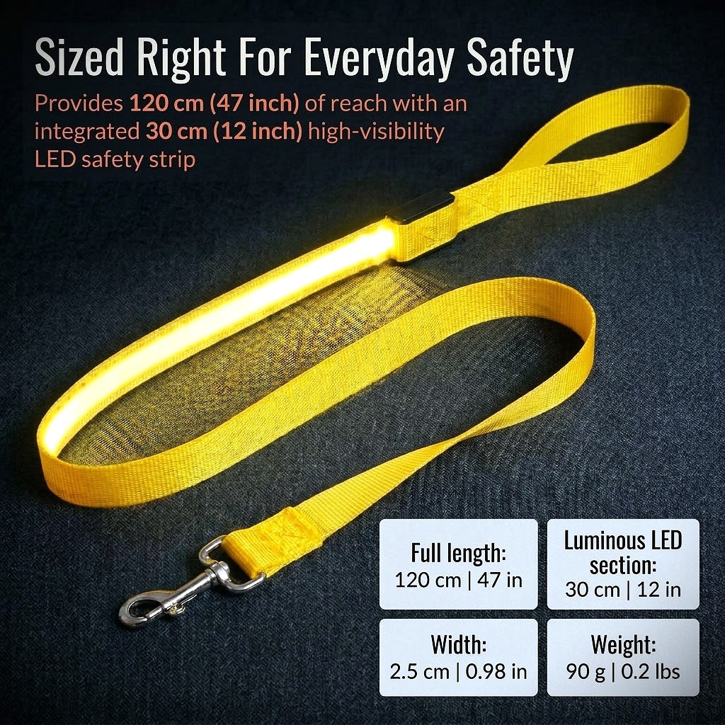 Light Up Safety Dog Leash