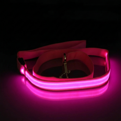 Light Up Safety Dog Leash