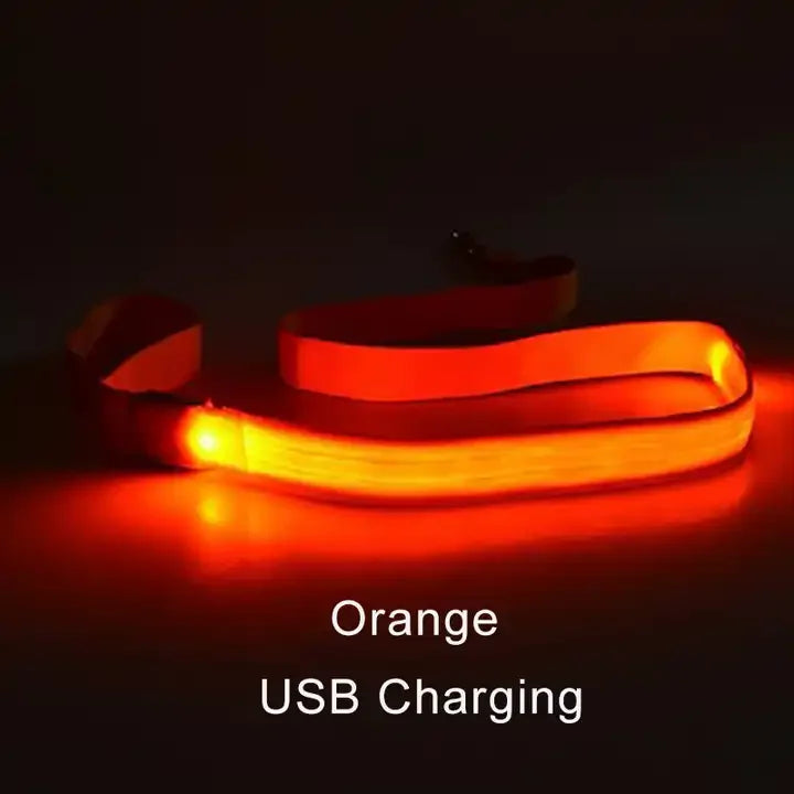 Light Up Safety Dog Leash