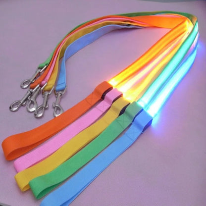 Light Up Safety Dog Leash
