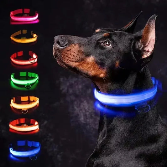 Glowing Safety Dog Collar