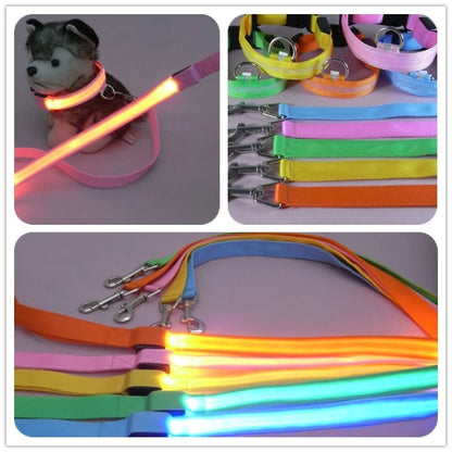Light Up Safety Dog Leash