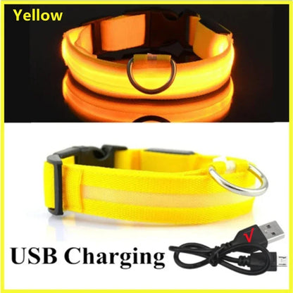 Glowing Safety Dog Collar
