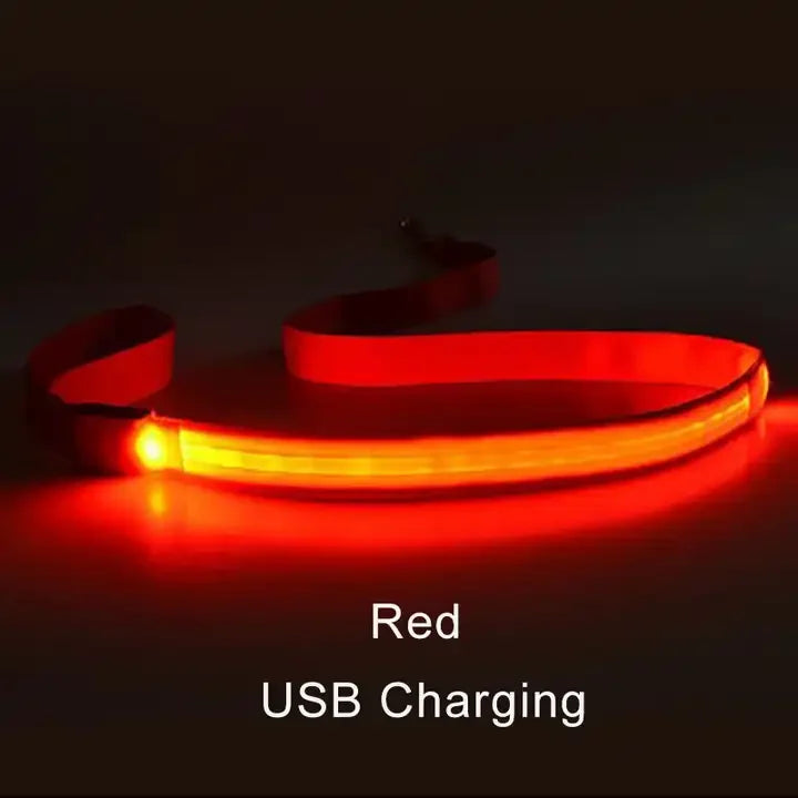 Light Up Safety Dog Leash