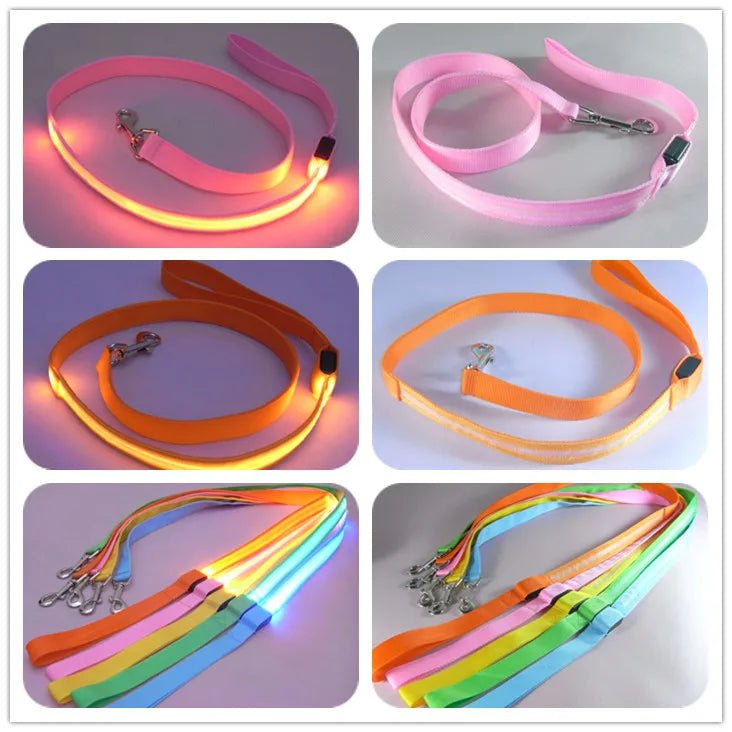 Light Up Safety Dog Leash