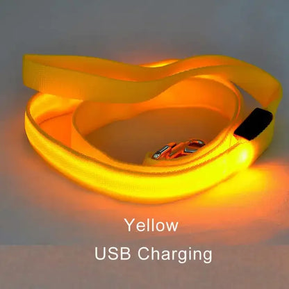 Light Up Safety Dog Leash