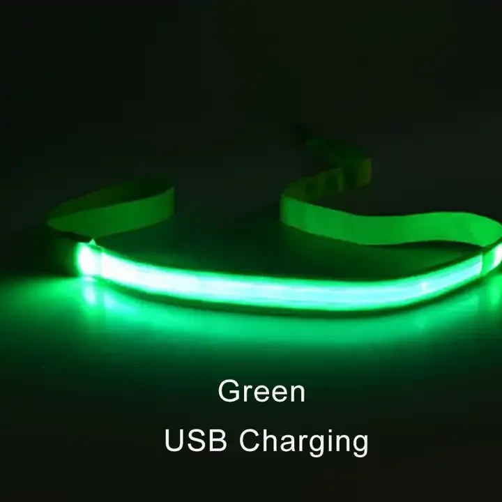 Light Up Safety Dog Leash