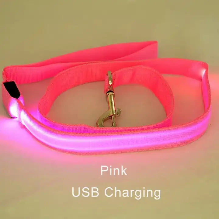 Light Up Safety Dog Leash