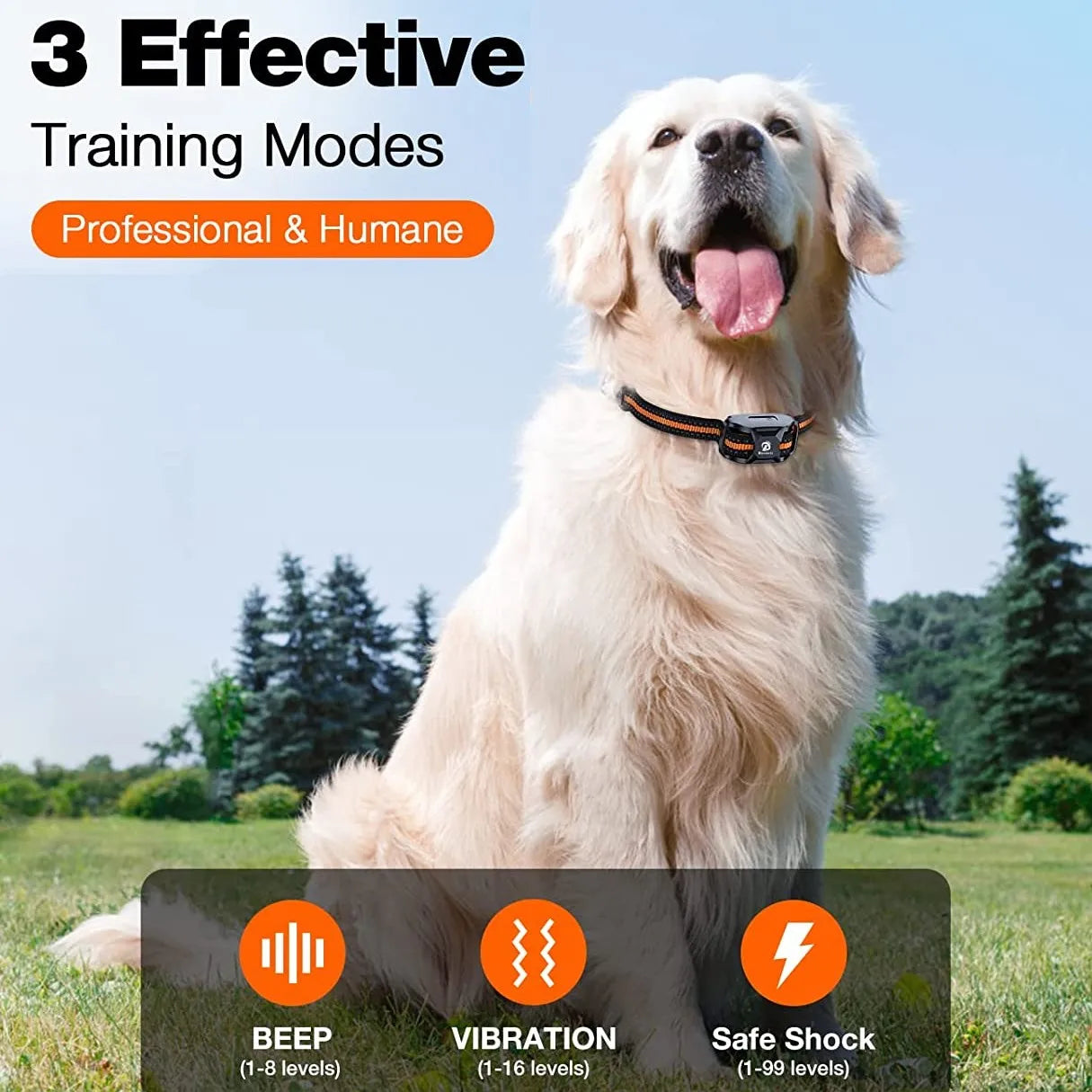Off-Leash Safety Dog Training Collar