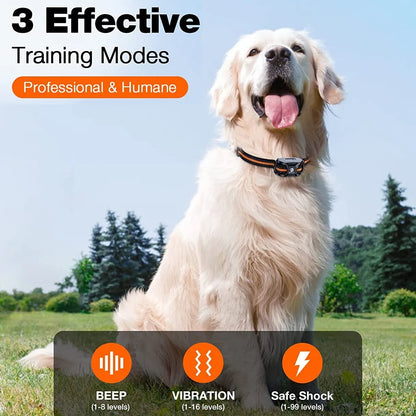 Off-Leash Safety Dog Training Collar