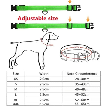 Glowing Safety Dog Collar