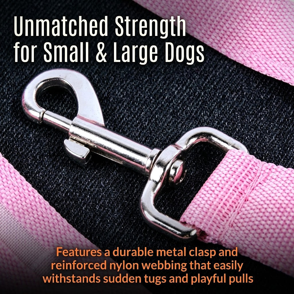 Light Up Safety Dog Leash
