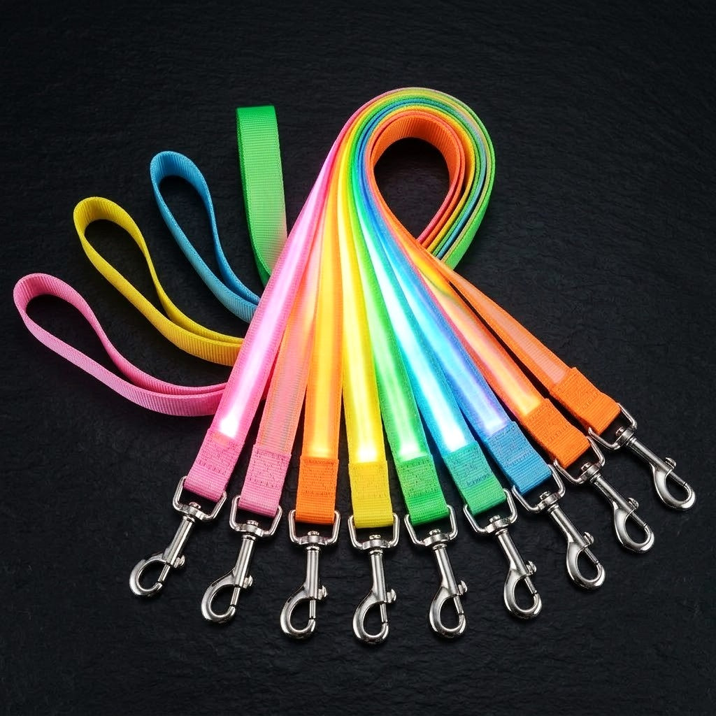 Light Up Safety Dog Leash
